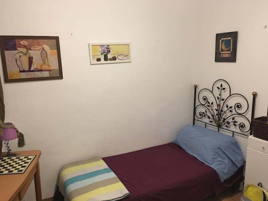 The Oasis One Spacious In *
