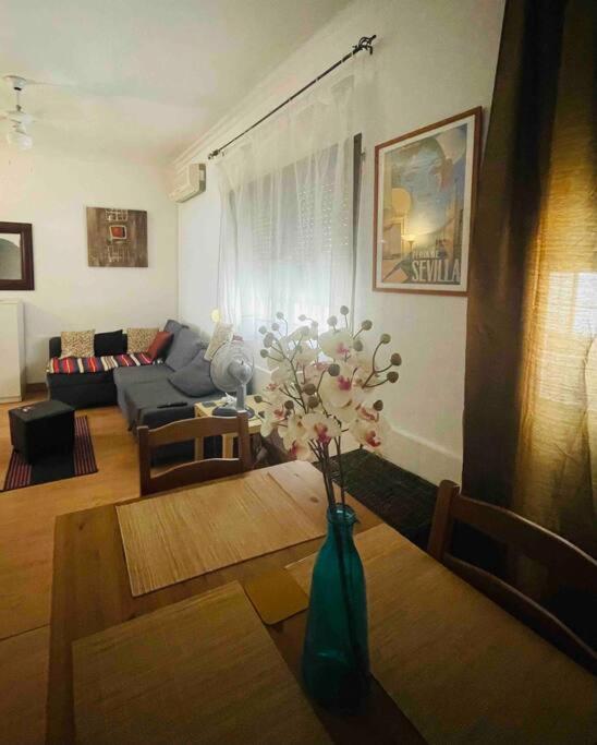 The Oasis One Spacious In Apartment *